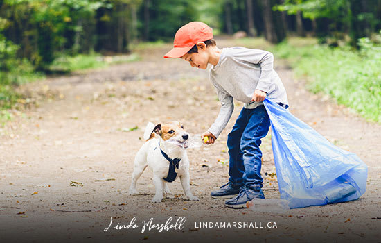Are You Socially Responsible, Linda Marshall Author