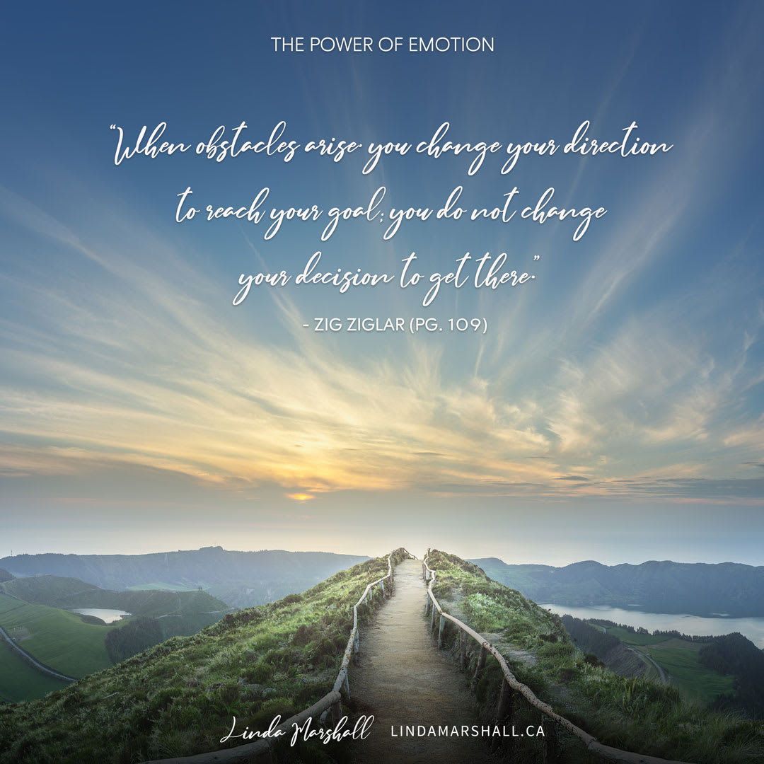 The Power of Emotion Book, Linda Marshall Author